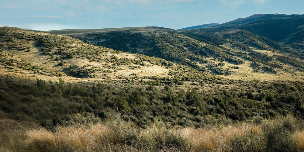 12 Magic Points For Erin